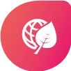 Estratégias para Crescimento Sustentável